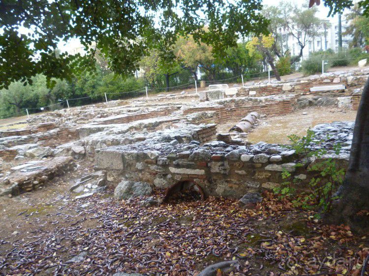 X. Семь корешков одного билета. Храм Зевса Олимпийского