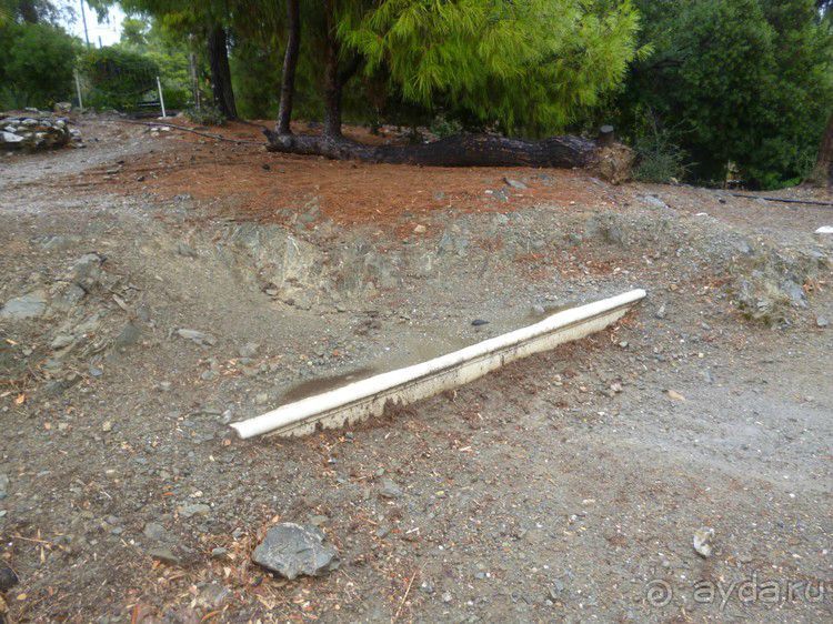 X. Семь корешков одного билета. Храм Зевса Олимпийского