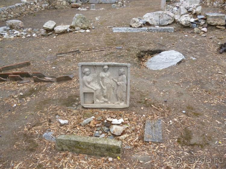 X. Семь корешков одного билета. Храм Зевса Олимпийского