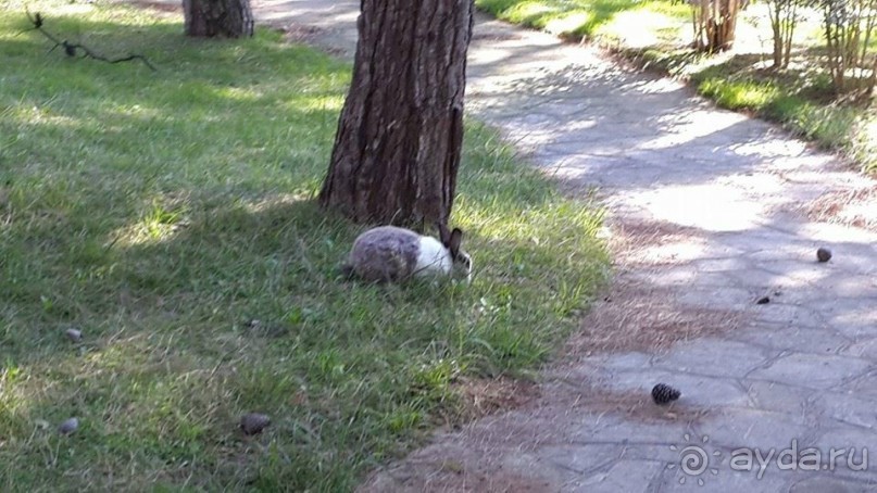 Магия греческого города. Салоники. Зоопарк и МК "Диапласи"