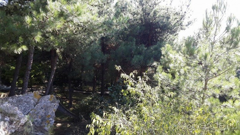 Магия греческого города. Салоники. Зоопарк и МК "Диапласи"