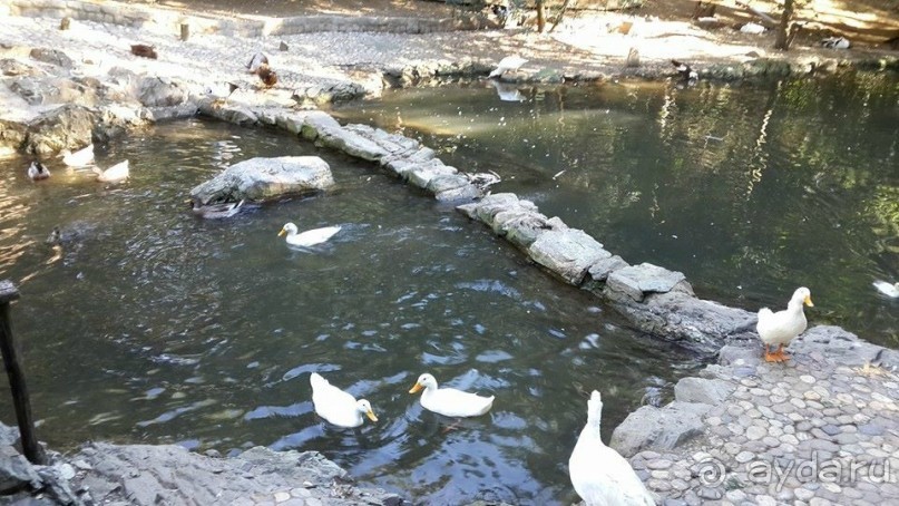 Магия греческого города. Салоники. Зоопарк и МК "Диапласи"