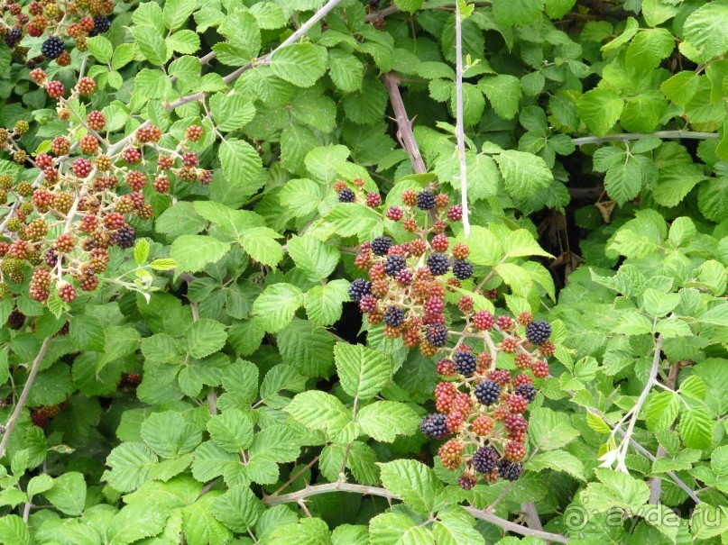 Альбом отзыва "Греческая "кругосветка". Метеора. Симфония одиночества."