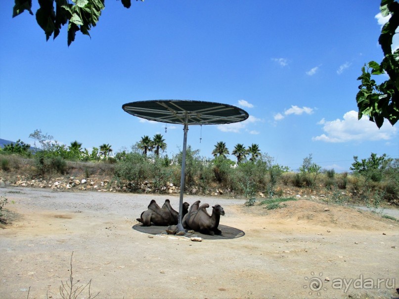 Греция. Современные Афины. Ч.1 Зоопарк