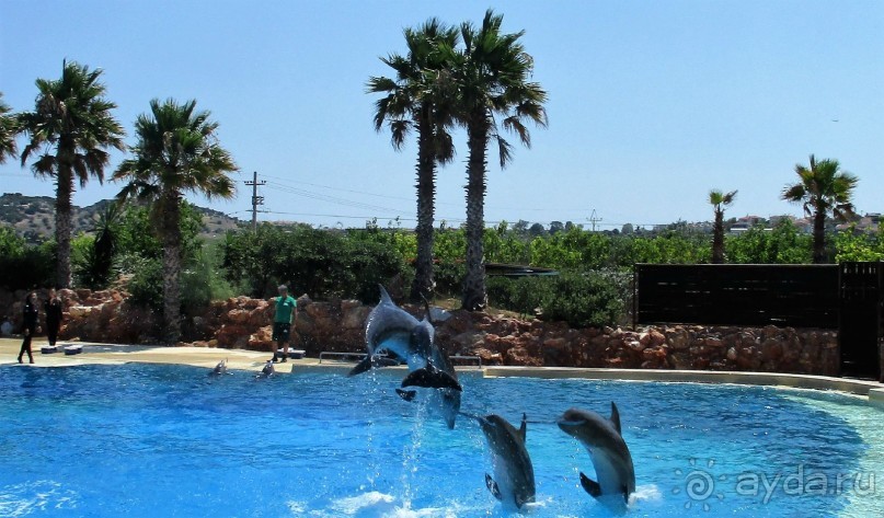 Греция. Современные Афины. Ч.1 Зоопарк