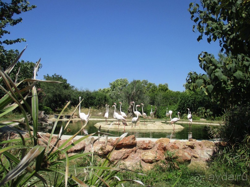 Греция. Современные Афины. Ч.1 Зоопарк