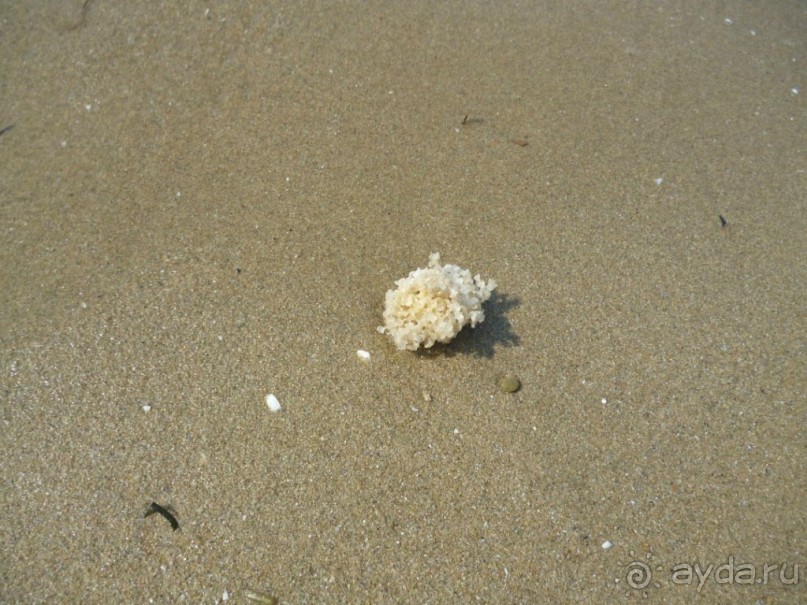 Магия греческого города. Салоники. Работа может подождать.