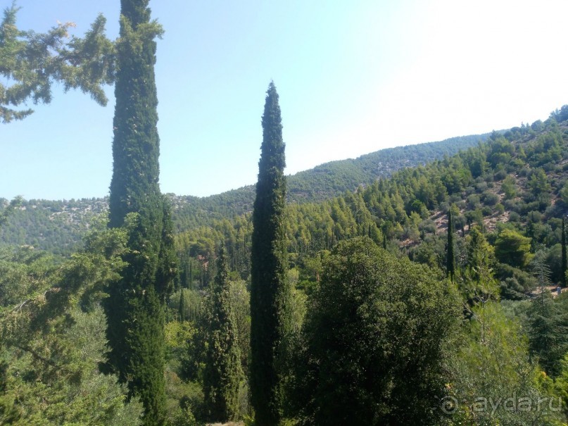 Альбом отзыва "Греческая" кругосветка". Современные Афины. Ч.3. Микс: парки, сады, улицы, дворы."