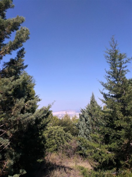 Альбом отзыва "Греческая" кругосветка". Современные Афины. Ч.3. Микс: парки, сады, улицы, дворы."