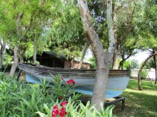 Альбом отзыва "Греческая" кругосветка". Современные Афины. Ч.3. Микс: парки, сады, улицы, дворы."