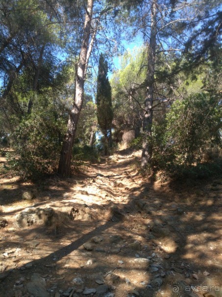 Альбом отзыва "Греческая" кругосветка". Современные Афины. Ч.3. Микс: парки, сады, улицы, дворы."