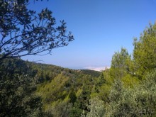 Альбом отзыва "Греческая" кругосветка". Современные Афины. Ч.3. Микс: парки, сады, улицы, дворы."