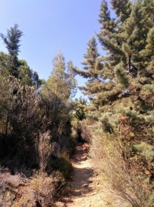 Альбом отзыва "Греческая" кругосветка". Современные Афины. Ч.3. Микс: парки, сады, улицы, дворы."