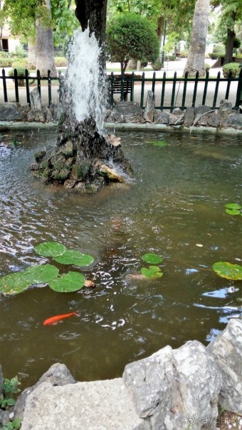 Греческая" кругосветка". Современные Афины. Ч.3. Микс: парки, сады, улицы, дворы.