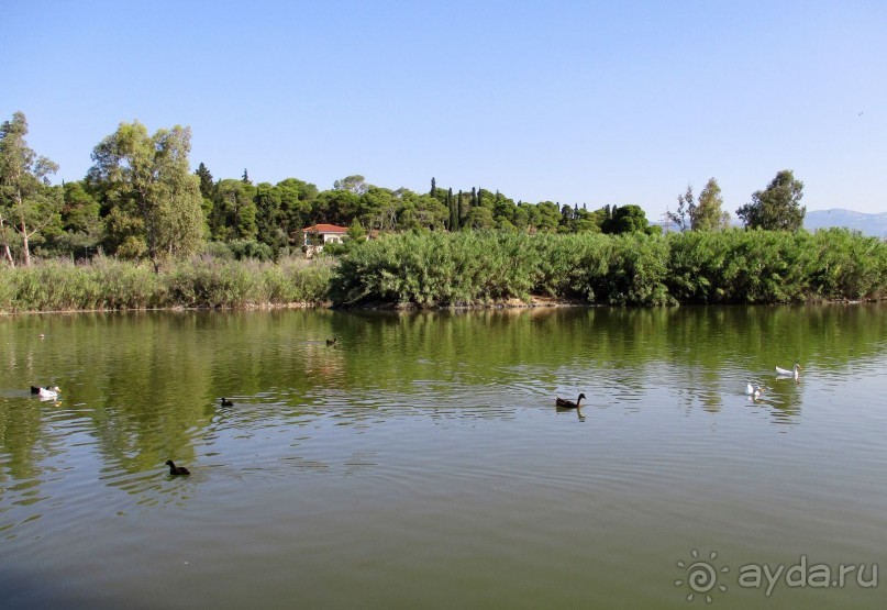 Греческая" кругосветка". Современные Афины. Ч.3. Микс: парки, сады, улицы, дворы.