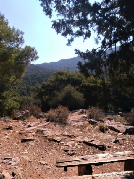 Греческая" кругосветка". Современные Афины. Ч.3. Микс: парки, сады, улицы, дворы.