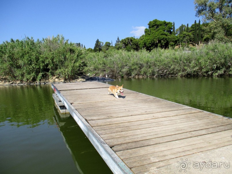Греческая" кругосветка". Современные Афины. Ч.3. Микс: парки, сады, улицы, дворы.