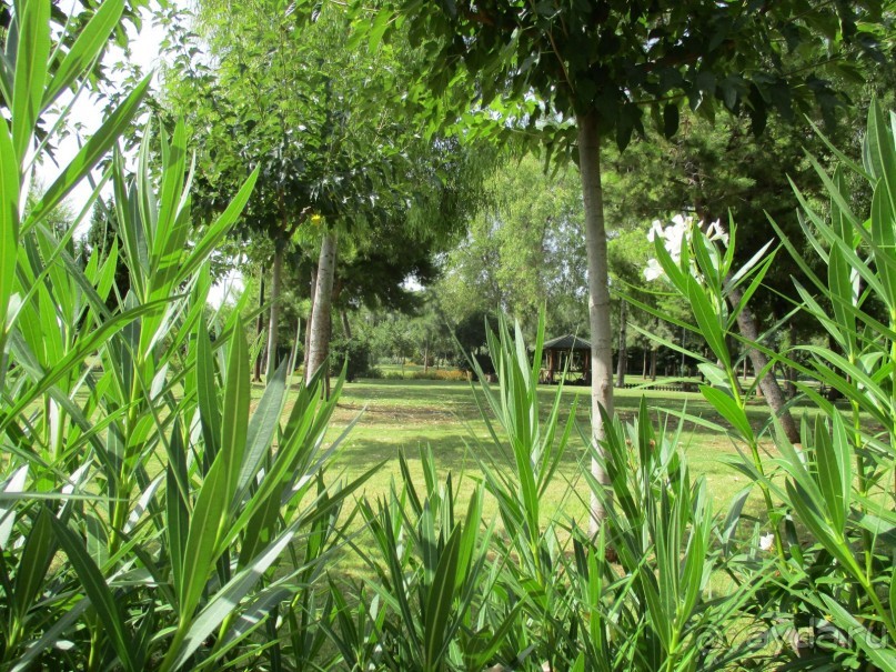 Греческая" кругосветка". Современные Афины. Ч.3. Микс: парки, сады, улицы, дворы.