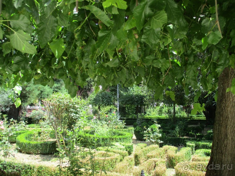 Греческая" кругосветка". Современные Афины. Ч.3. Микс: парки, сады, улицы, дворы.