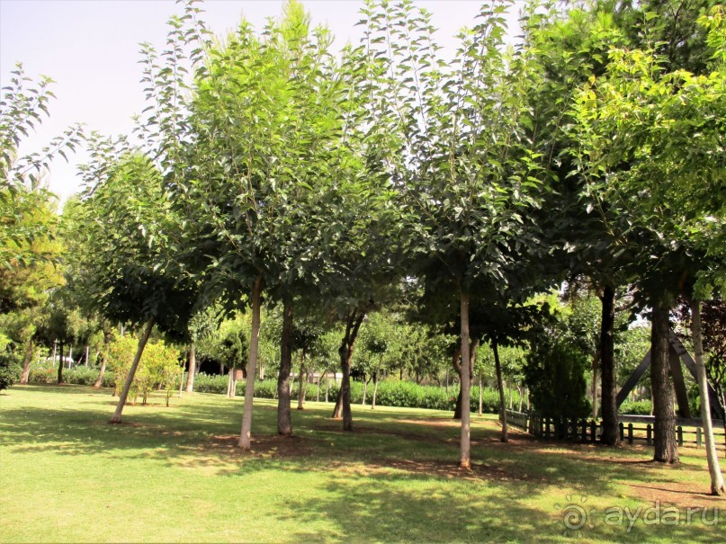 Греческая" кругосветка". Современные Афины. Ч.3. Микс: парки, сады, улицы, дворы.