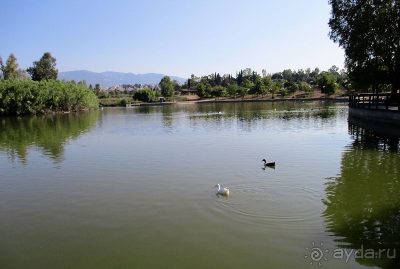 Греческая" кругосветка". Современные Афины. Ч.3. Микс: парки, сады, улицы, дворы.