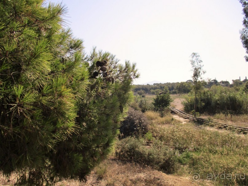 Греческая" кругосветка". Современные Афины. Ч.3. Микс: парки, сады, улицы, дворы.