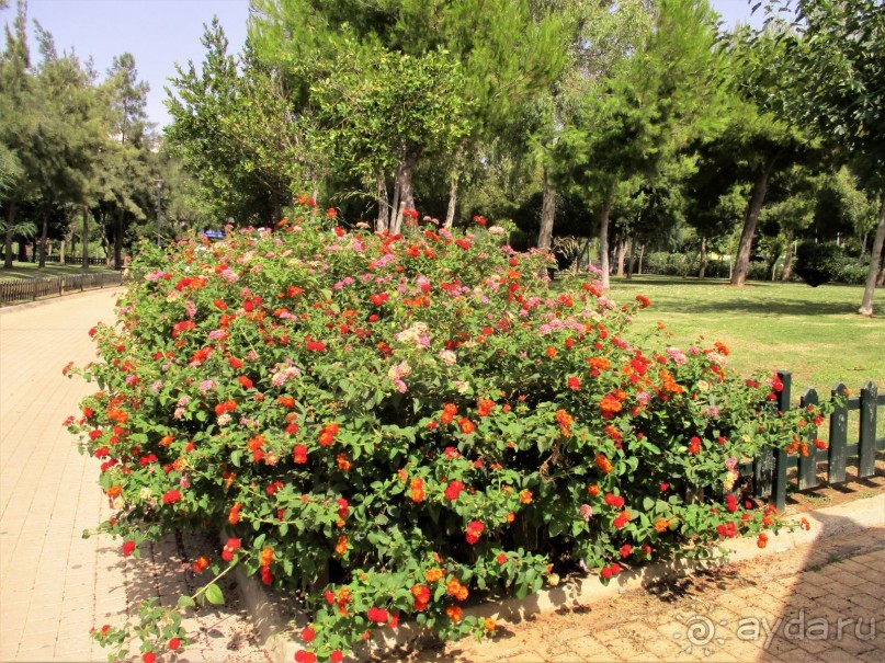 Греческая" кругосветка". Современные Афины. Ч.3. Микс: парки, сады, улицы, дворы.