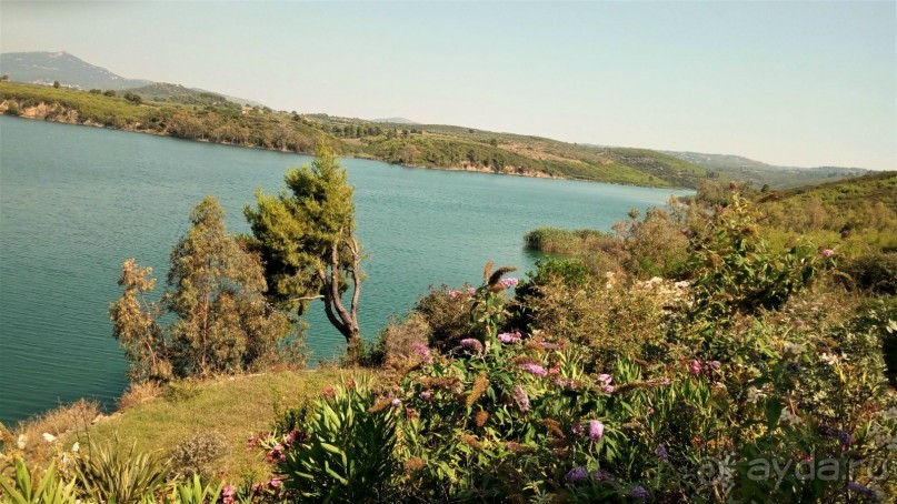 Греческая" кругосветка". Современные Афины. Ч.3. Микс: парки, сады, улицы, дворы.