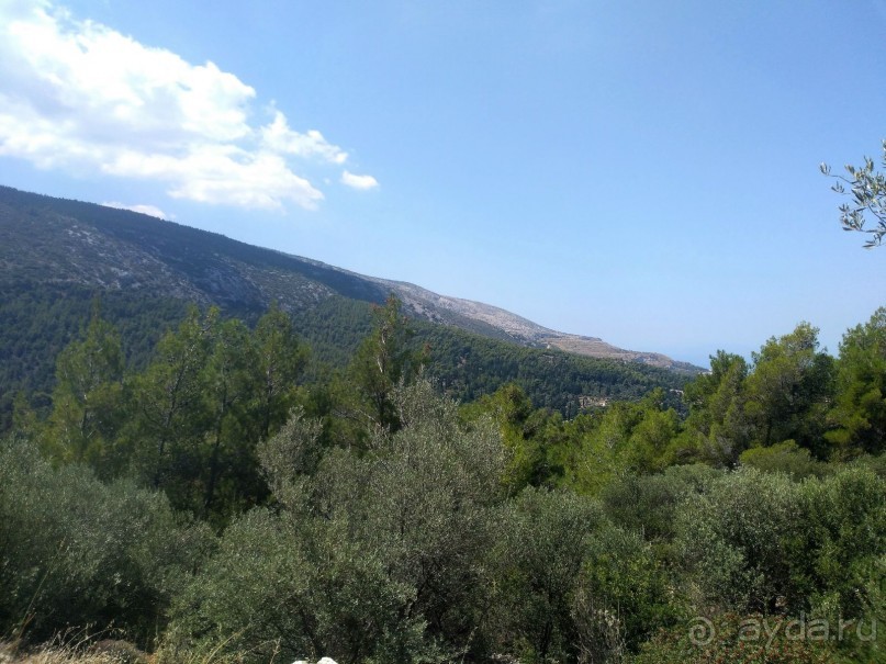 Греческая" кругосветка". Современные Афины. Ч.3. Микс: парки, сады, улицы, дворы.