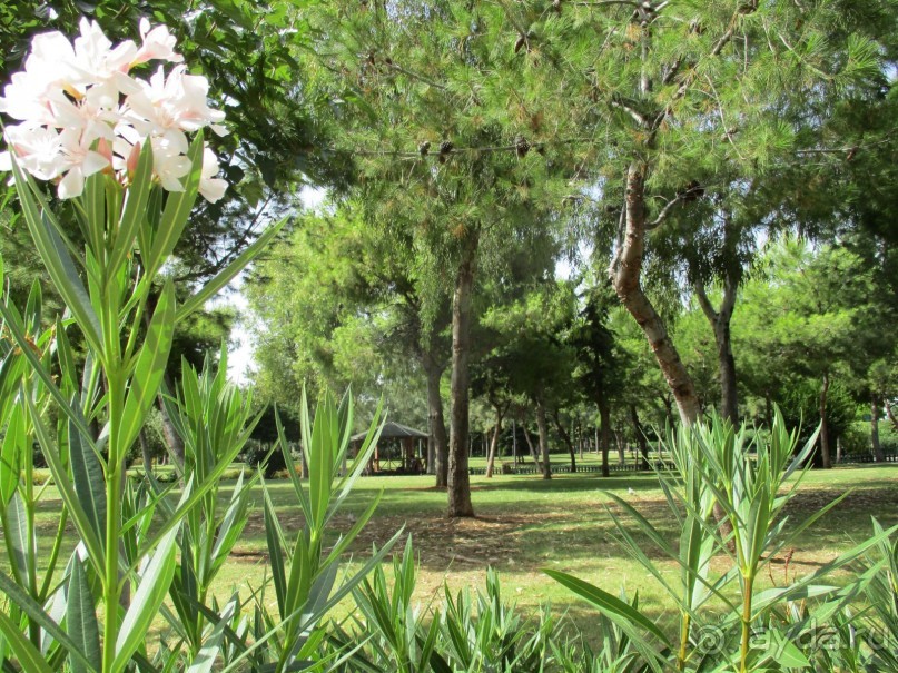 Греческая" кругосветка". Современные Афины. Ч.3. Микс: парки, сады, улицы, дворы.