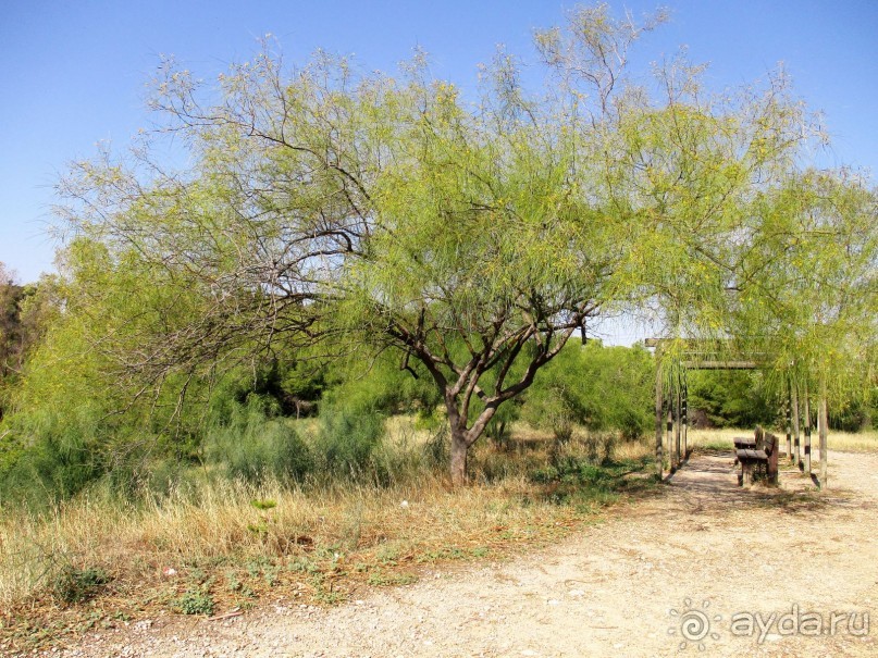 Греческая" кругосветка". Современные Афины. Ч.3. Микс: парки, сады, улицы, дворы.