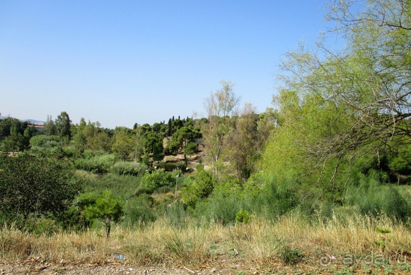 Греческая" кругосветка". Современные Афины. Ч.3. Микс: парки, сады, улицы, дворы.