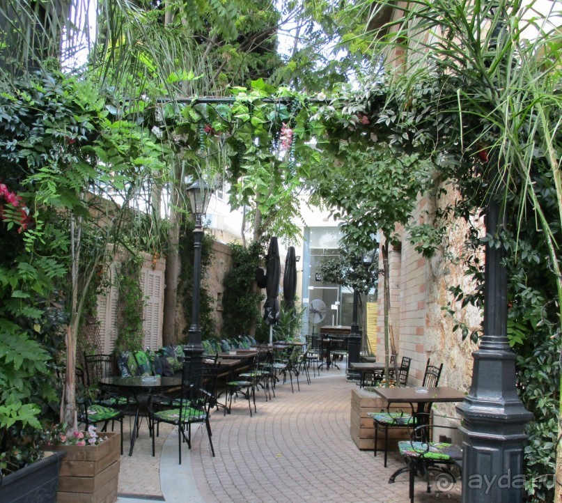 Греческая" кругосветка". Современные Афины. Ч.3. Микс: парки, сады, улицы, дворы.