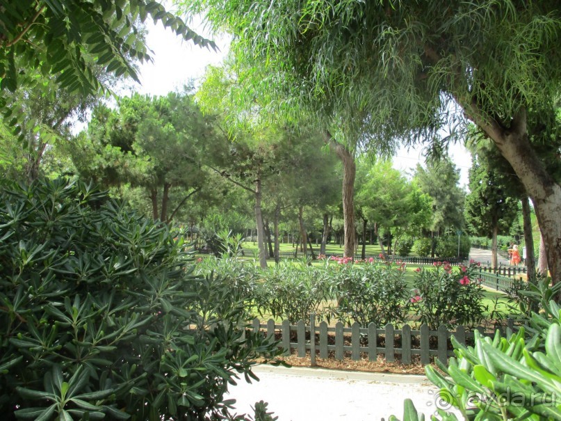 Греческая" кругосветка". Современные Афины. Ч.3. Микс: парки, сады, улицы, дворы.