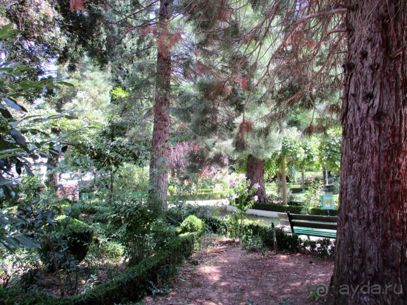 Греческая" кругосветка". Современные Афины. Ч.3. Микс: парки, сады, улицы, дворы.