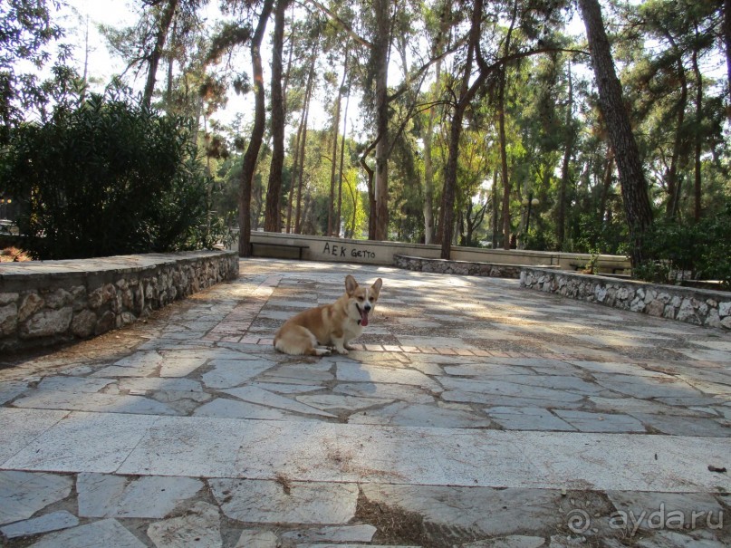 Греческая" кругосветка". Современные Афины. Ч.3. Микс: парки, сады, улицы, дворы.