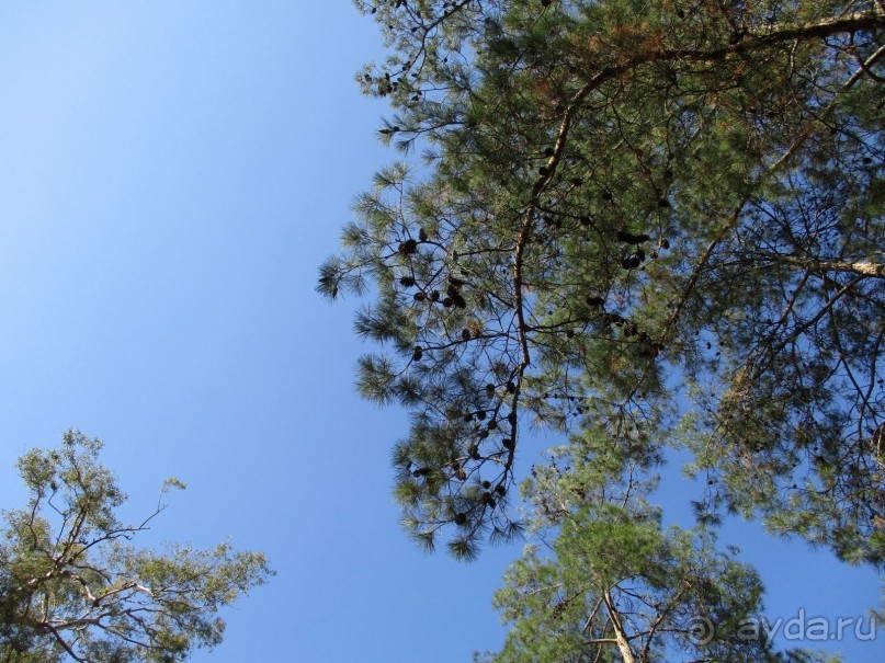 Греческая" кругосветка". Современные Афины. Ч.3. Микс: парки, сады, улицы, дворы.