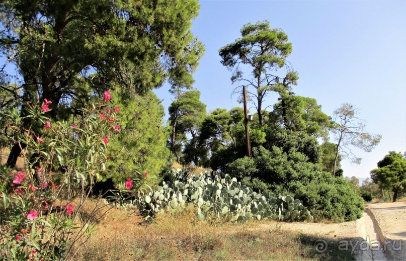 Греческая" кругосветка". Современные Афины. Ч.3. Микс: парки, сады, улицы, дворы.