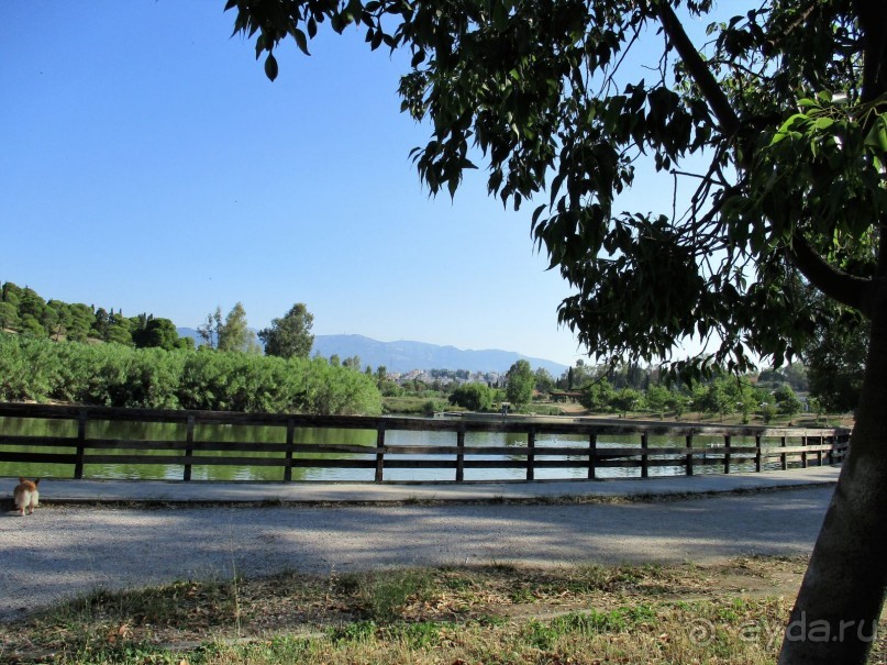 Греческая" кругосветка". Современные Афины. Ч.3. Микс: парки, сады, улицы, дворы.