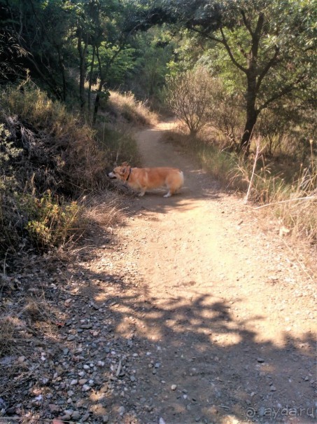Греческая" кругосветка". Современные Афины. Ч.3. Микс: парки, сады, улицы, дворы.
