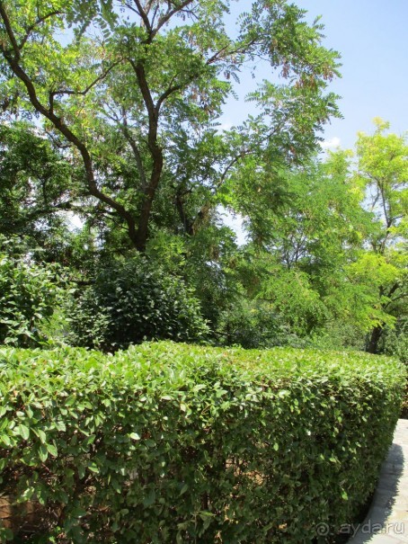 Греческая" кругосветка". Современные Афины. Ч.3. Микс: парки, сады, улицы, дворы.