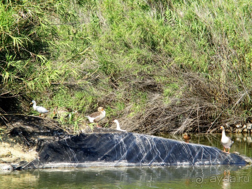 Греческая" кругосветка". Современные Афины. Ч.3. Микс: парки, сады, улицы, дворы.