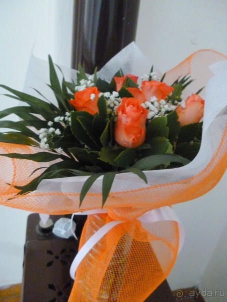 VII. День рождения на земле древней Эллады. Ч.1.