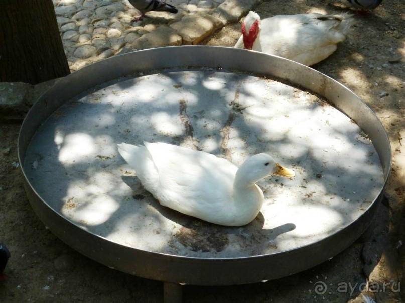 VII. День рождения на земле древней Эллады. Ч.1.