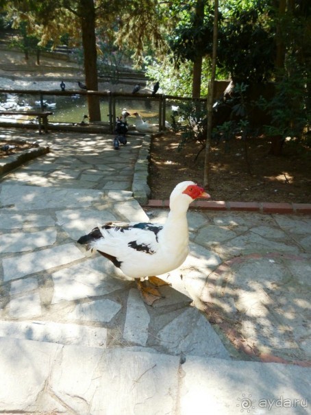 VII. День рождения на земле древней Эллады. Ч.1.