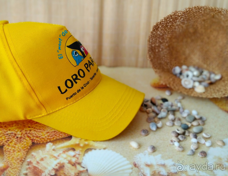 Часть 1. Притяжение