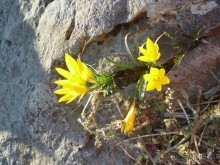 Акрополь. Ч.2