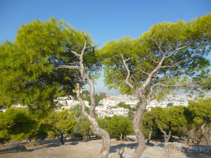 Акрополь. Ч.2