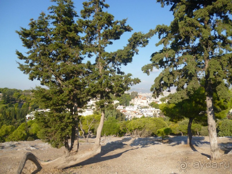 Акрополь. Ч.2