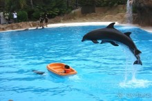 Тенерифская сказка. Часть 3 "Карусель развлечений"